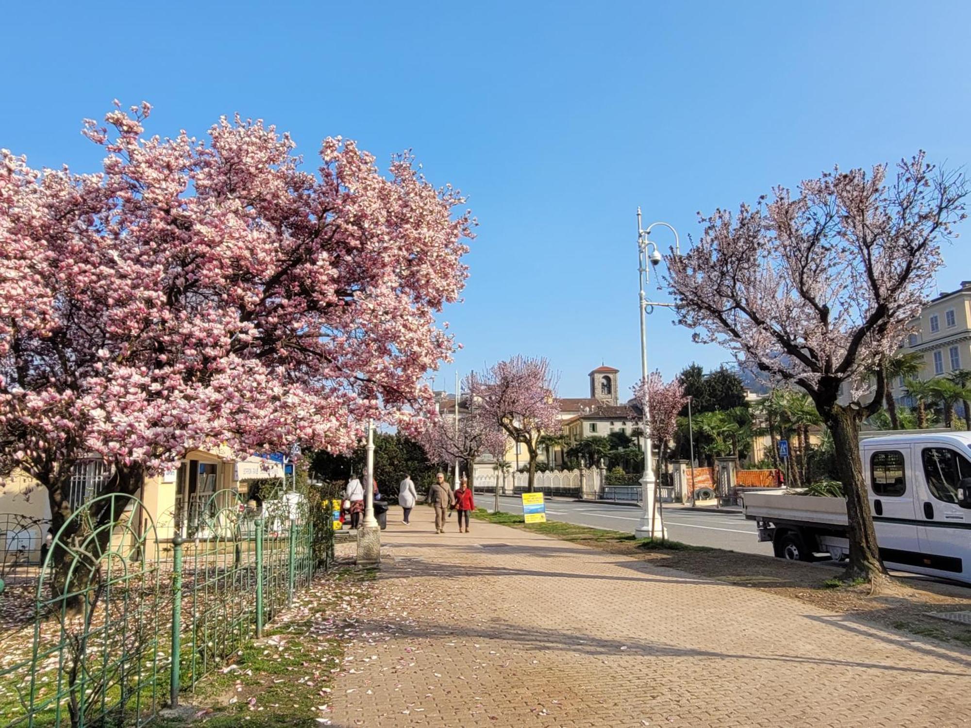 Al Dolce Vita Stresa Exterior photo